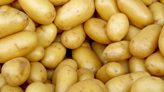 Produktbilde